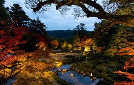 近代日本庭園と紅葉が織り成す幻想的空間