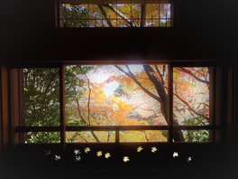 和室汐見窓からの紅葉