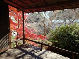 和室汐見窓からの紅葉