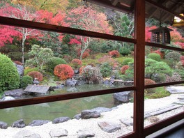 書院から日本庭園の紅葉を望む