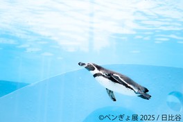 日比谷