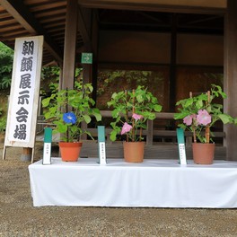 神奈川県横浜市のイベント情報一覧 22年7月29日 金 お昼開催 1件 ウォーカープラス