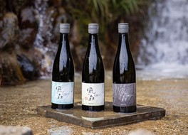 特約店のみで購入できる流通限定品の酒「風の森」
