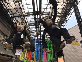 手作り感あふれる“はりぼて”など七夕飾りが並ぶ