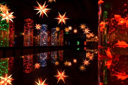 ヘルンフートの星というクリスマス飾りのシンボ ルともいえる明かりで灯される「金魚の回廊」