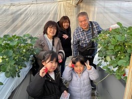 いちご狩りは、3品種食べ放題または6品種の食べ放題(プラス700円)コースがある