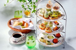 新緑をイメージしたメニューが並ぶ　※シトラスモヒートは別料金