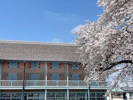 桜が満開の富岡製糸場