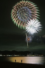 特選「花火の夜」 竹内修