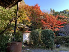 紅葉と建造物を併せて観賞できる
