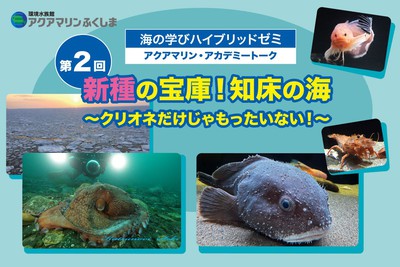 アクアマリン アカデミートーク 第2回 新種の宝庫 知床の海 クリオネだけじゃもったいない 福島県 の情報 ウォーカープラス