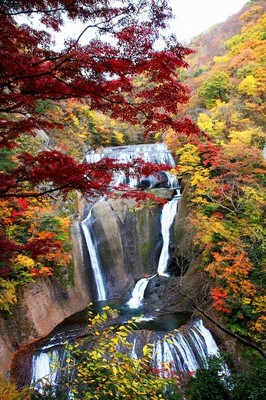 紅葉 見ごろ 袋田の滝 茨城県 の情報 ウォーカープラス