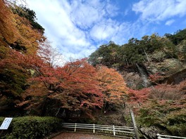 蓬莱山神社の紅葉