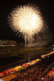 個性豊かな花火の数々が夜空を賑やかに彩る