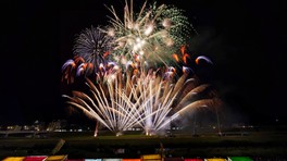 個性豊かな花火の数々が夜空をにぎやかに彩る