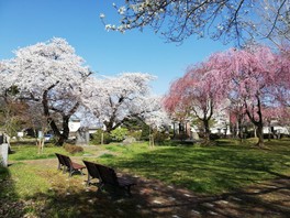 岩手県のgw ゴールデンウィーク イベント ゴールデンウィーク 21 ウォーカープラス