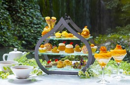 鮮やかな新緑に咲く花々をモチーフにしたメニューが味わえる
