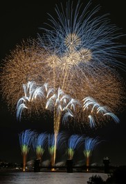 大輪の青と金が夜空を圧倒