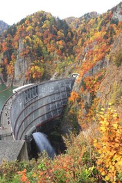 紅葉が渓谷とダムを彩る