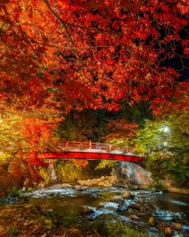 渓流のさざめきを聞きながら紅葉を眺められる