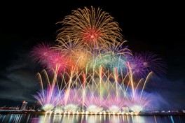 大分市の花火大会で色とりどりの花火が夜空に咲く