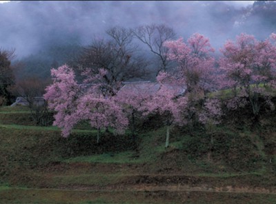 第16回美しい風景写真100人展 春 夏 日本の日の出部門 愛知県 の情報 ウォーカープラス