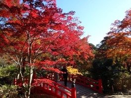 熱海屈指の紅葉スポット