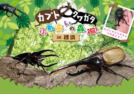 神奈川県のイベント情報一覧 21年8月2日 月 56件 2ページ目 ウォーカープラス