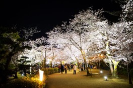 2025年3月に開園150周年を迎える特別名勝栗林公園がライトアップで彩られる
