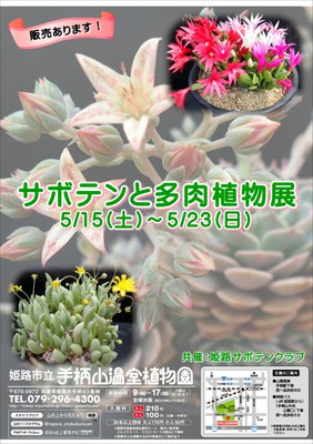 姫路市立手柄山温室植物園 サボテンと多肉植物展 兵庫県 の情報 ウォーカープラス