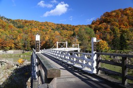 白い吊り橋と紅葉のコントラストがおりなす絶景