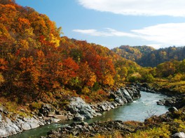 白い吊り橋と紅葉のコントラストがおりなす絶景