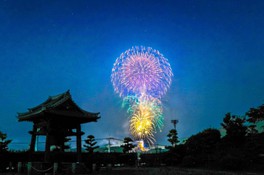 色とりどりの花火が夏の夜空を彩る