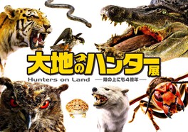 新潟県のイベント情報一覧 今日 28件 ウォーカープラス