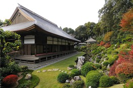 緑の庭園に紅いドウダンツツジが映える