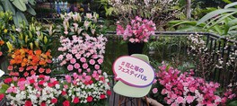 花と苺 