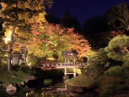 関東の花 自然情報一覧 夕方 夜開催 1件 ウォーカープラス