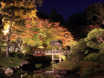 三溪園 紅葉ライトアップ 神奈川県 の情報 ウォーカープラス