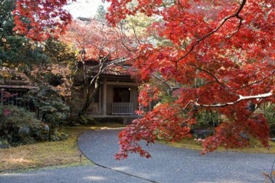中野邸　　写真集   ●      庭は2000本のもみじ園。 中野邸 写真集 ○ 庭は2000本のもみじ園。 - メルカリ