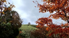 山を着飾る赤黄色の紅葉のカーテンが美しい