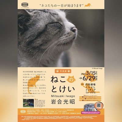ねこ 楽天市場】ペットちぐら 中 ペットハウス 猫ハウス ペットベッド