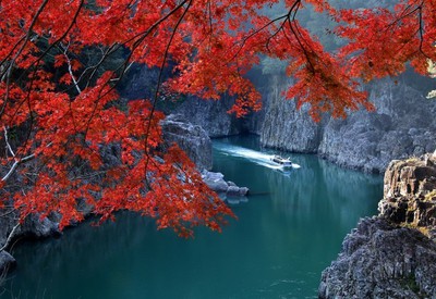 紅葉 見ごろ 瀞峡 和歌山県 の情報 ウォーカープラス