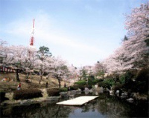 八幡山公園ぼんぼり点灯 中止となりました 栃木県 の情報 ウォーカープラス