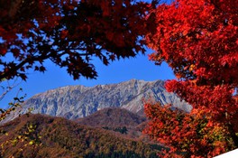休憩所から見た赫山の紅葉