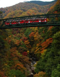 眼下には色づいた木々をのぞむ絶景が広がる