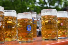 数あるドイツのビールメーカーの中から選りすぐりの19メーカーのビールが登場する