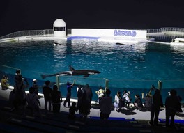 夜の水族館を探検できるレイトプログラム