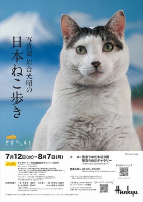 写真展 岩合光昭の日本ねこ歩き(大阪府)の情報｜ウォーカープラス