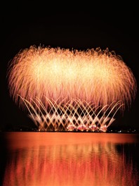面を染める黄金色の大輪の花火