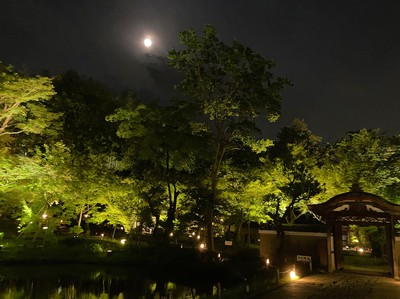 高台寺 夏の夜間特別拝観 京都府 の情報 ウォーカープラス